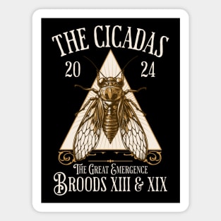 Cicadas 2024 - Brood XIX Brood XIII - Funny Cicada Lover Magnet